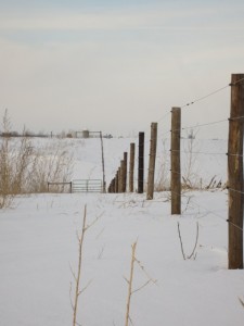 A Stretch Of The New Fence