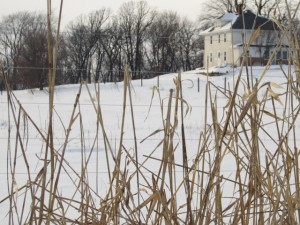 The House From The Pasture