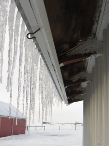 Icicles Hanging From The Old Smoke House