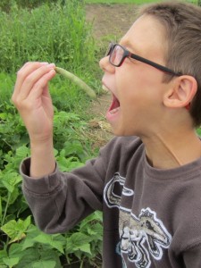 Clowning Around While Picking Beans