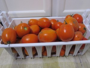 More Tomatoes