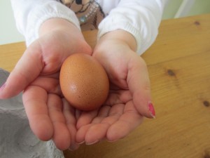 1st Egg